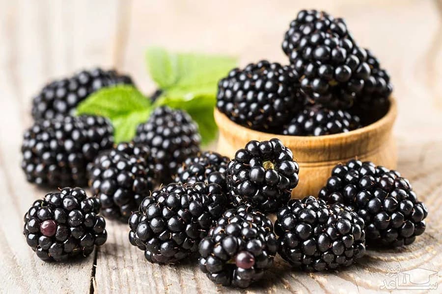 خواص بی نظیر شاتوت چیست؟